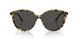 177887 - Tortoise - Grey