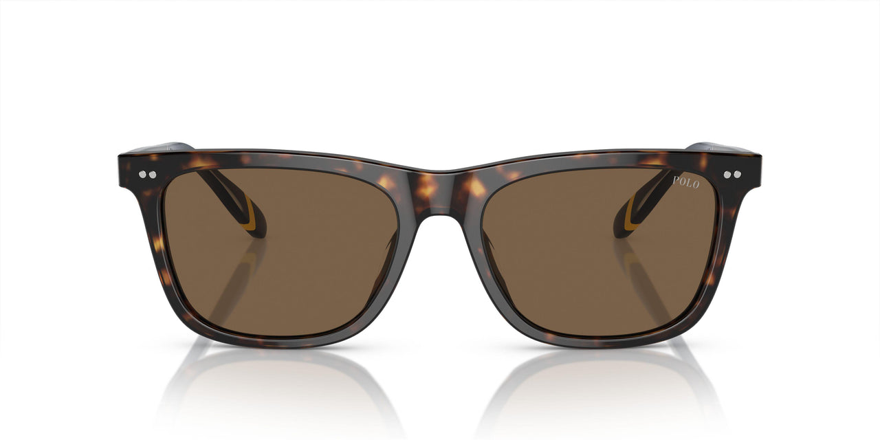 500373 - Brown - Brown