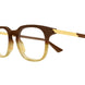 002 - Brown - Transparent