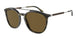603873 - Green - Dark Brown