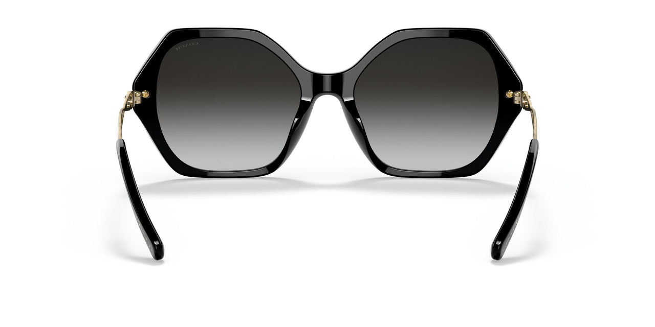 50028G - Black - Grey Gradient
