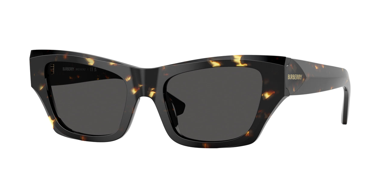 410687 - Tortoise - Dark Grey