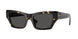410687 - Tortoise - Dark Grey