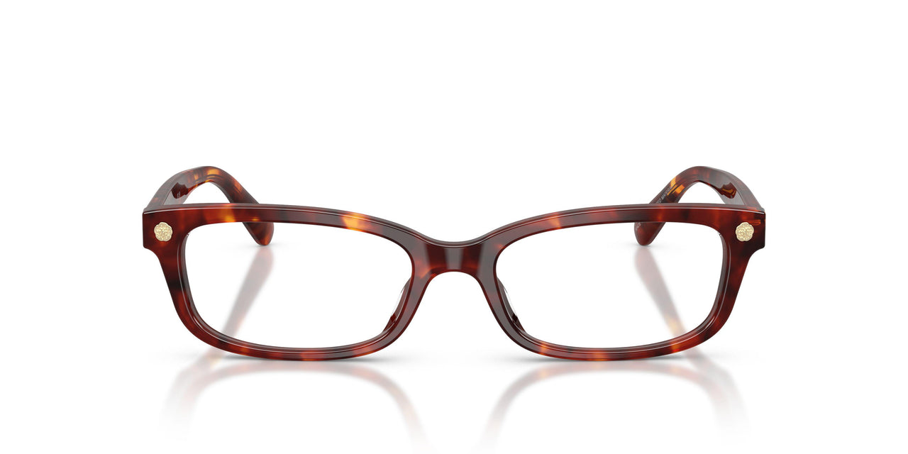 5938 - Tortoise
