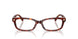 5938 - Tortoise