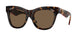 300273 - Brown - Dark Brown