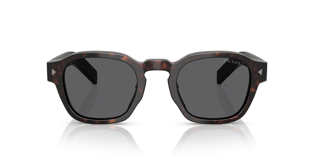 17N731 - Tortoise - Dark Grey