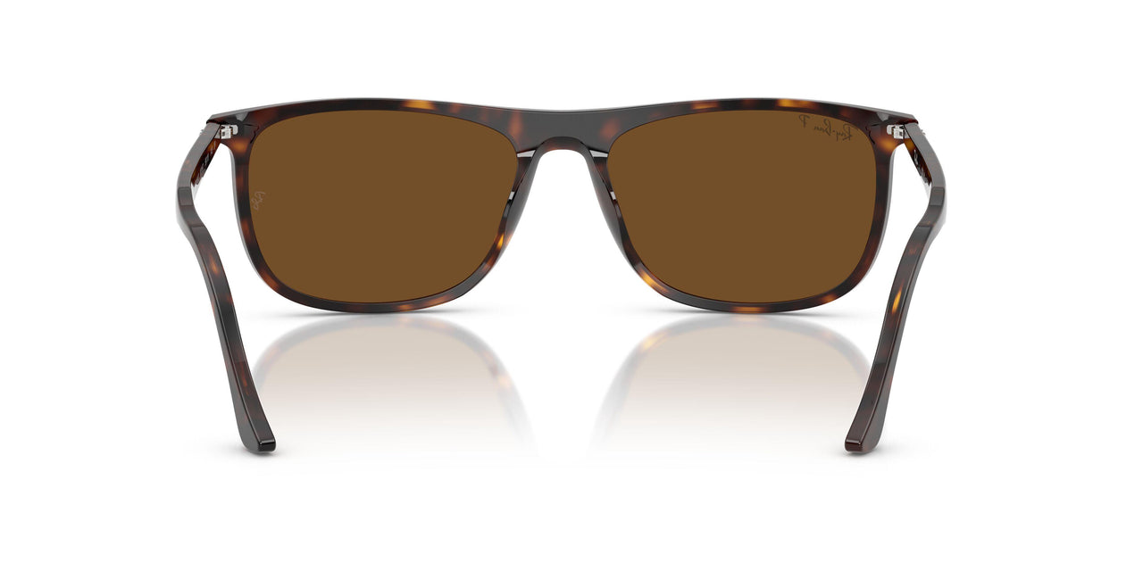 902/57 - Tortoise - Brown Polar