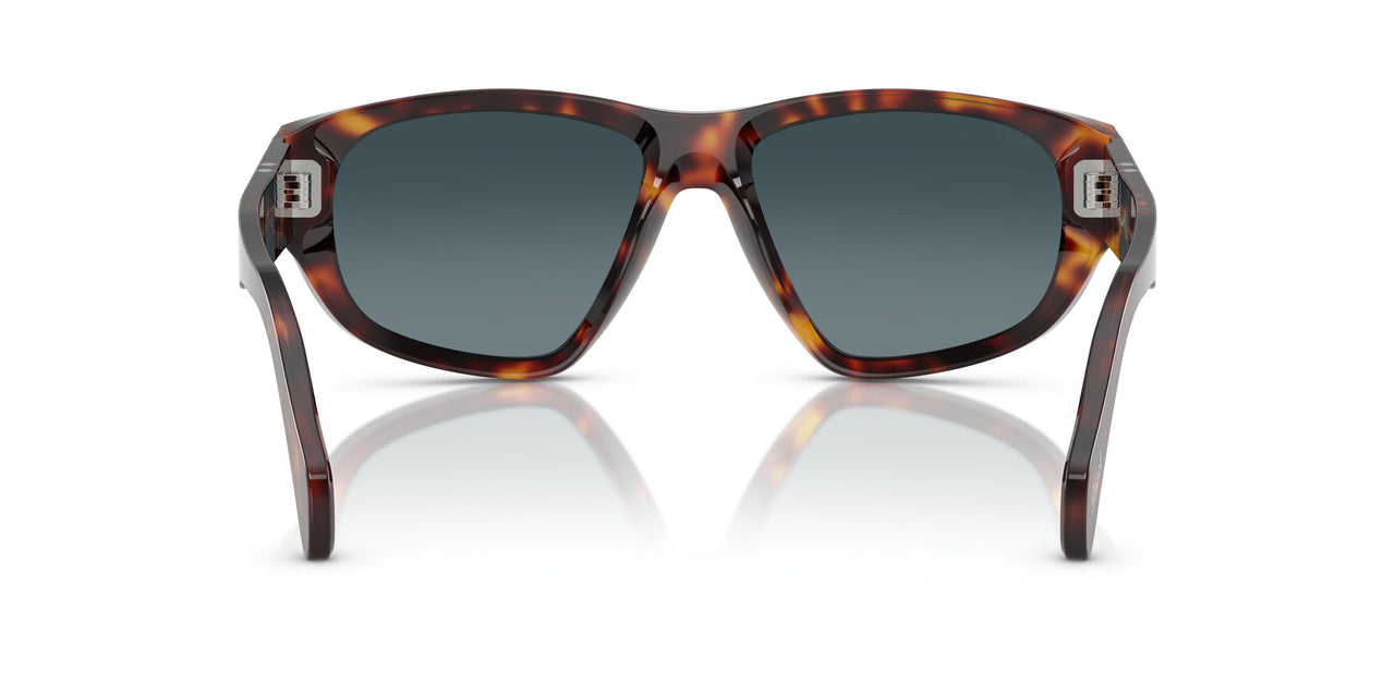 24/S3 - Tortoise - Light Blue Gradient Dark Blue