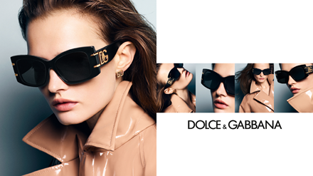 Dolce & Gabbana 4501 Sunglasses 