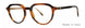 Valdo Tommaso Eyeglasses