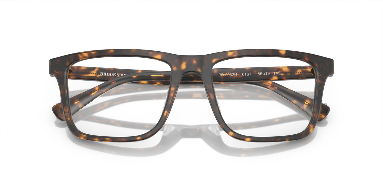 6161 - Tortoise