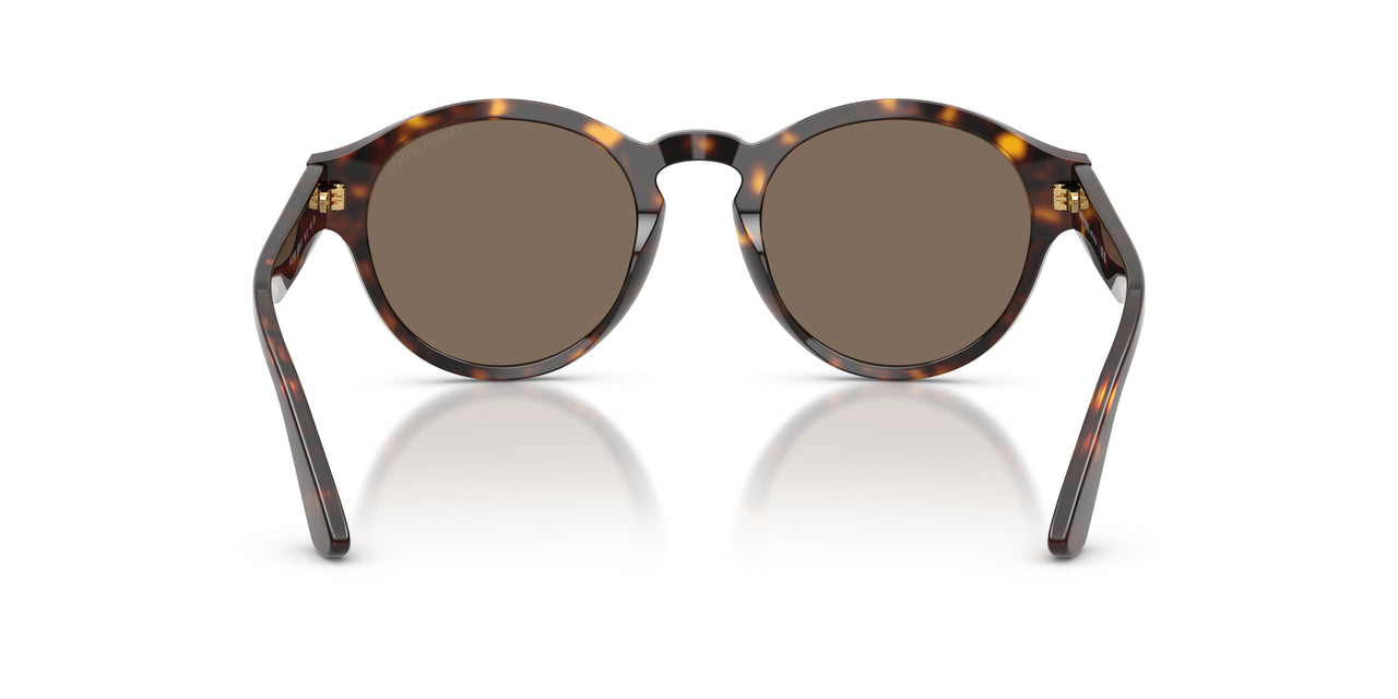 502673 - Brown - Dark Brown