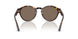 502673 - Brown - Dark Brown