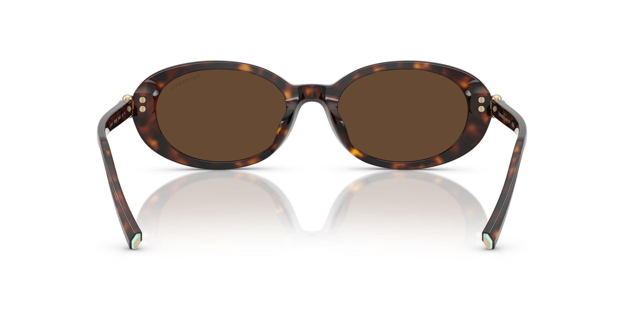 80153G - Tortoise - Light Brown