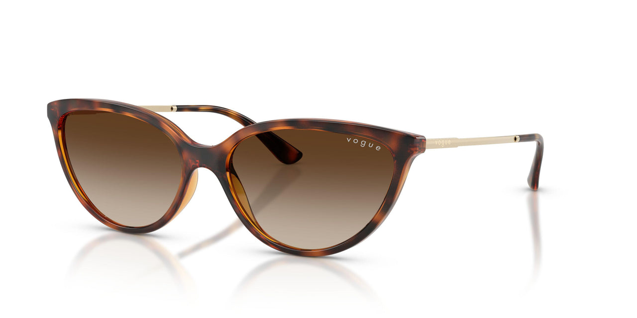 W65613 - Brown - Gradient Brown