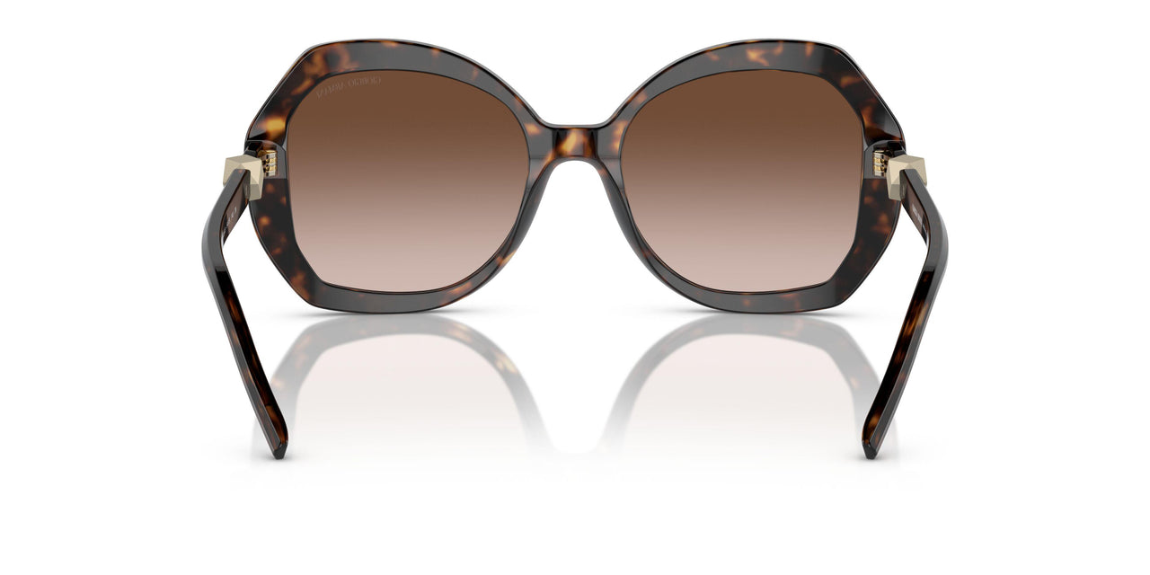 502613 - Tortoise - Gradient Brown