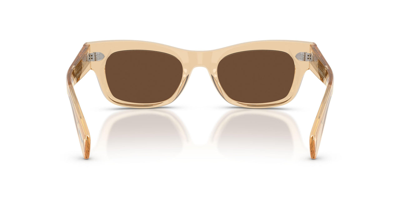 1766AN - Brown - Terra Polarized