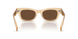 1766AN - Brown - Terra Polarized