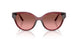 317511 - Brown - Brown Rose Gradient