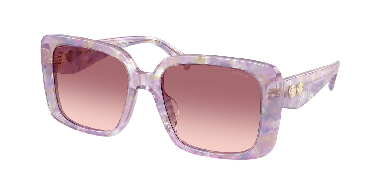Coach Cad54 8424U Sunglasses
