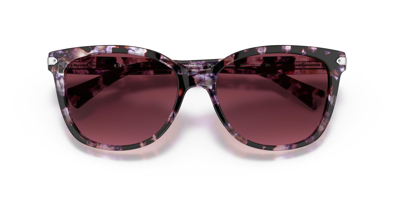 55488H - Purple/reddish - Burgundy Gradient