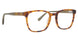 HBR - Honey Brown [HBR1]