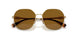 848/83 - Gold - Dark Brown Polar