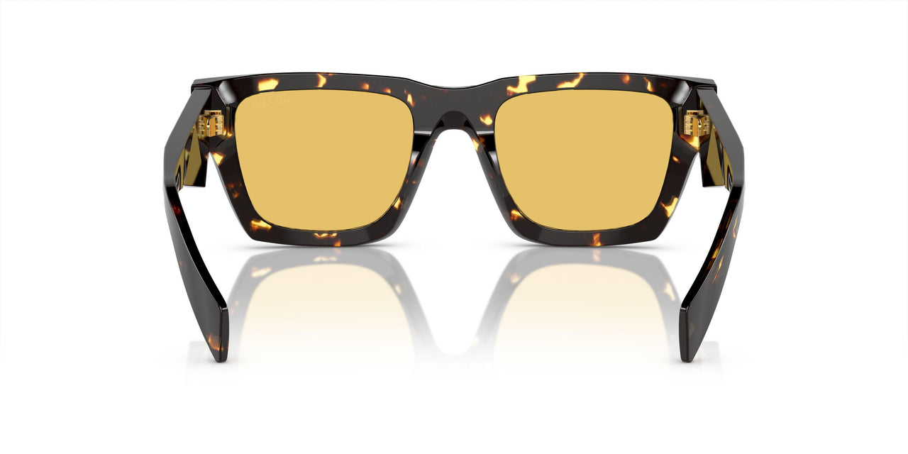 16O10C - Brown - Yellow