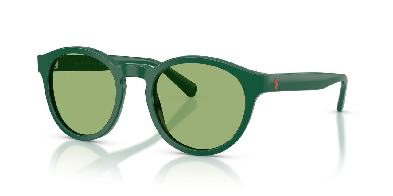 6141/2 - Green - Light Green