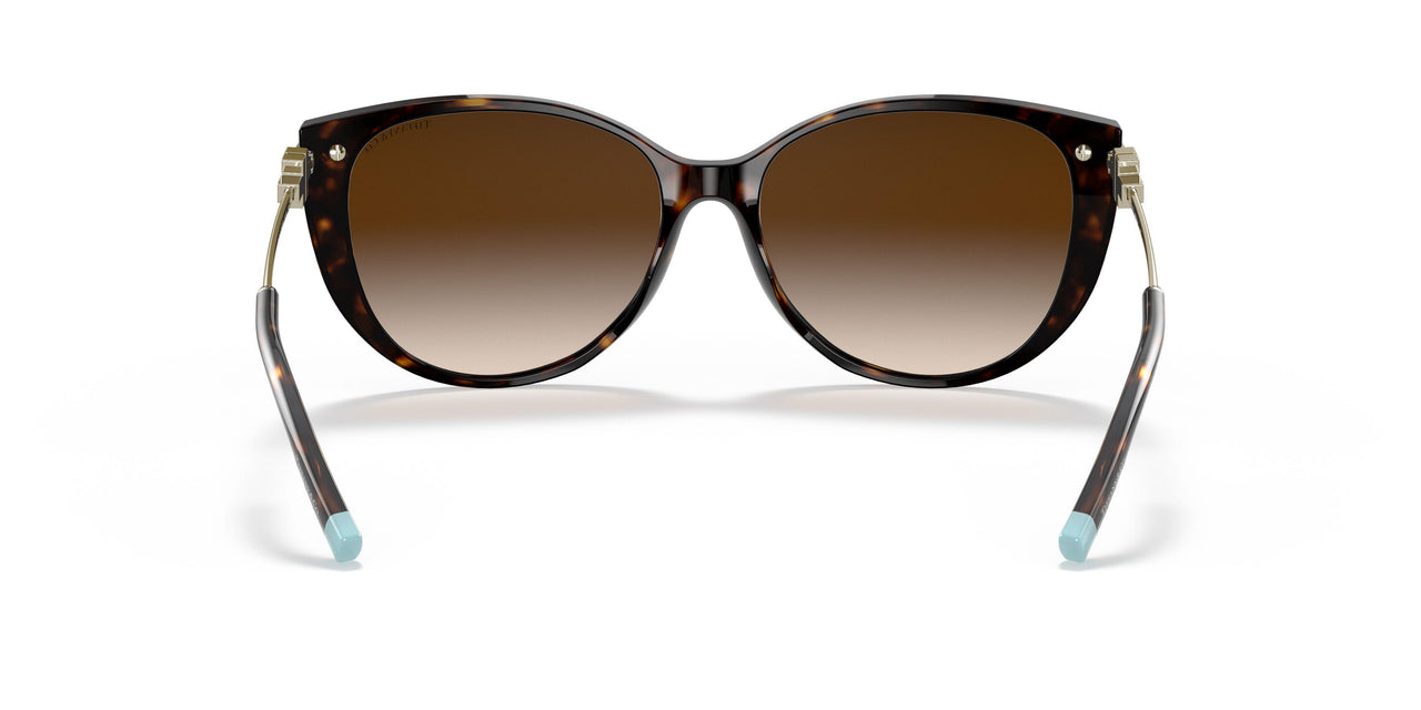 80153B - Havana - Brown Gradient