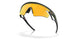 949905 - Green - Prizm 24k Polarized