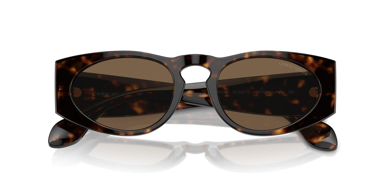 612473 - Tortoise - Dark Brown