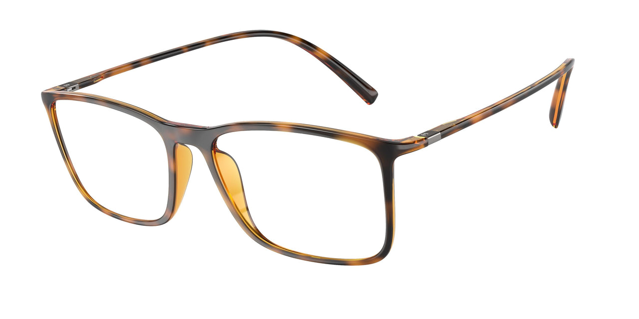 5026 - Tortoise