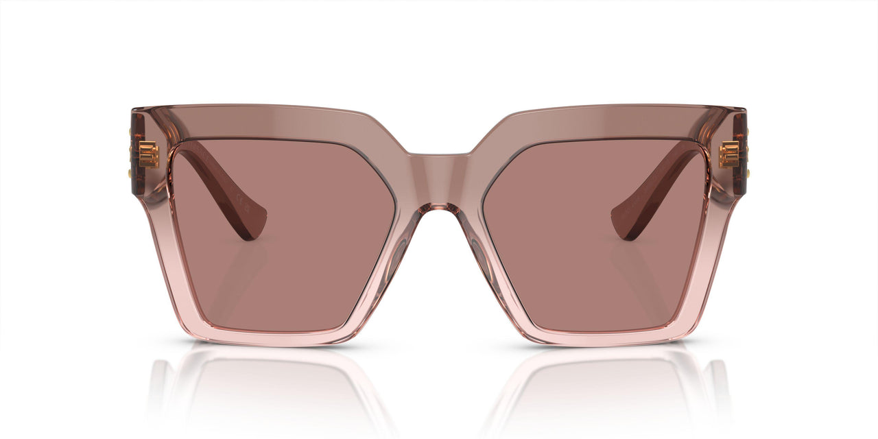 543573 - Brown - Light Brown