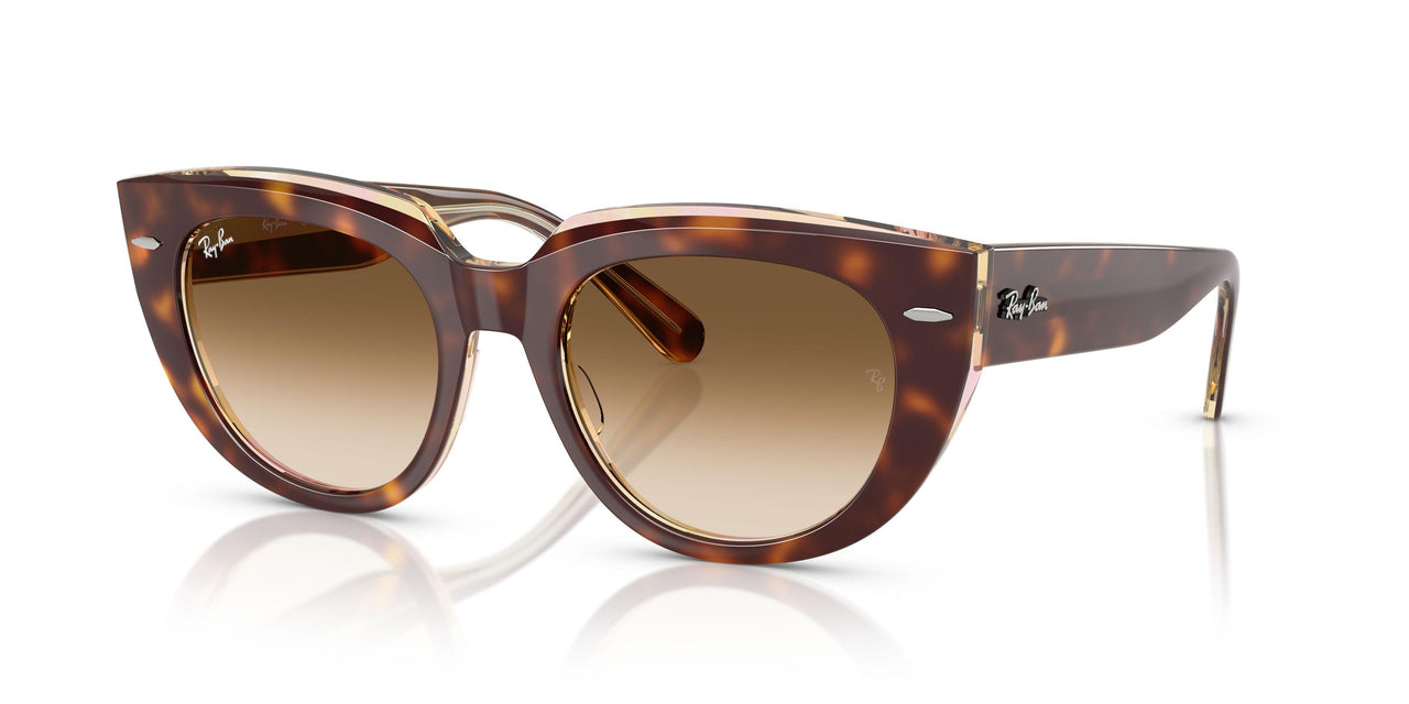 141451 - Tortoise - Clear Gradient Brown