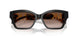 300513 - Black - Brown Gradient
