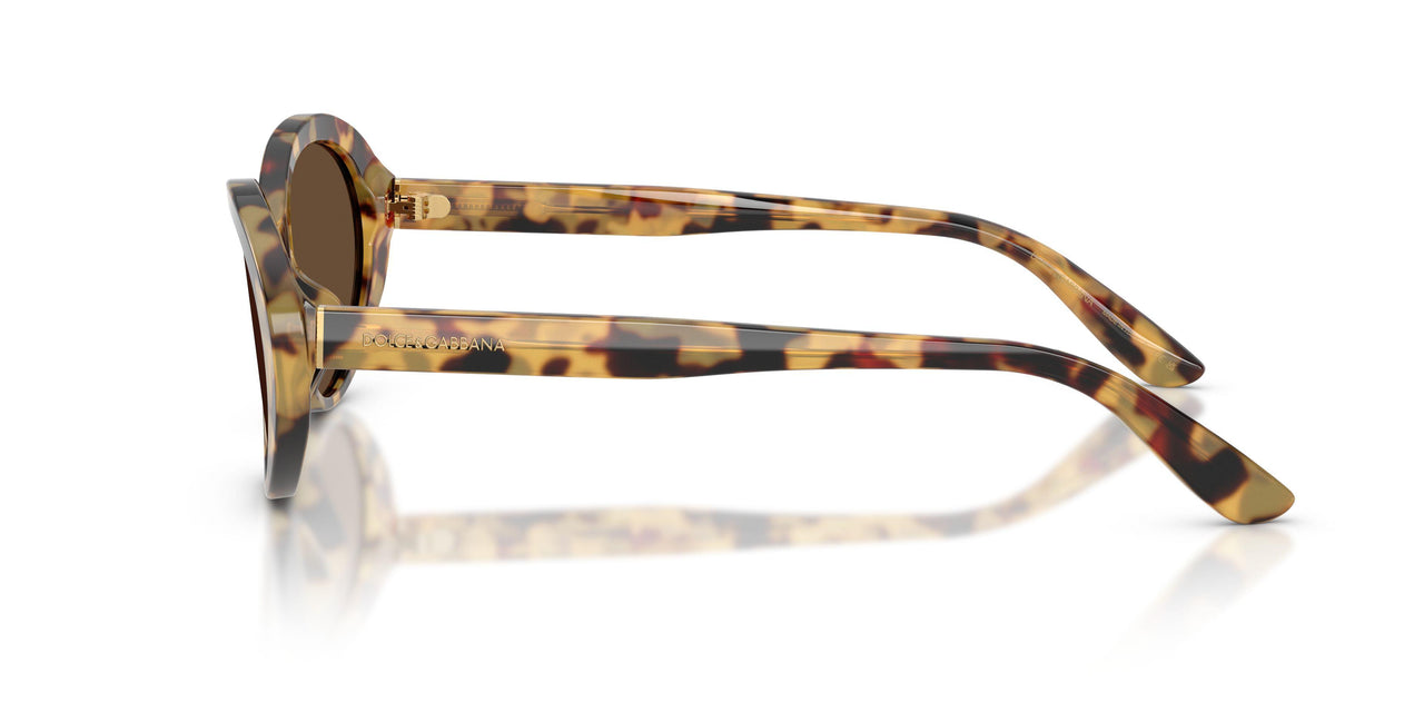 512/73 - Tortoise - Dark Brown