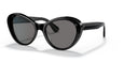100581 - Black - Grey Polarized