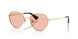 Burberry 3173D Sunglasses