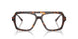 5002 - Tortoise