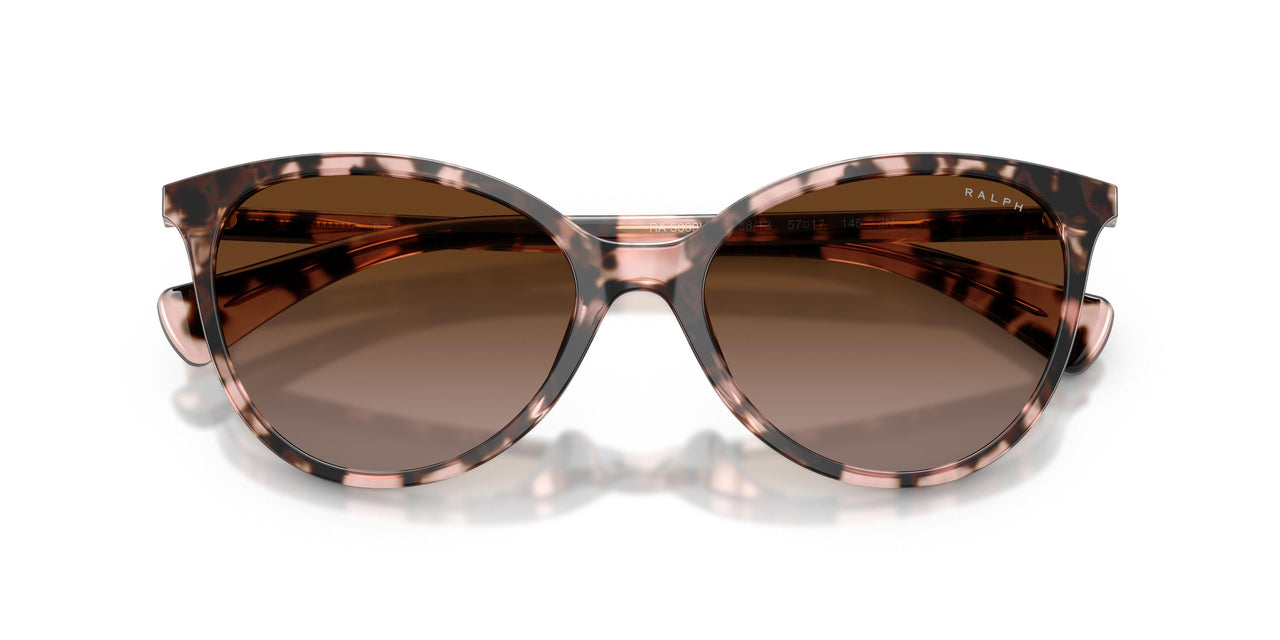 605813 - Tortoise - Gradient Brown