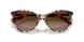 605813 - Tortoise - Gradient Brown