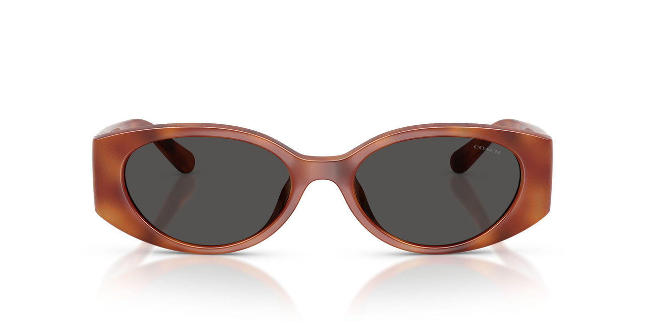 577487 - Tortoise - Grey Solid
