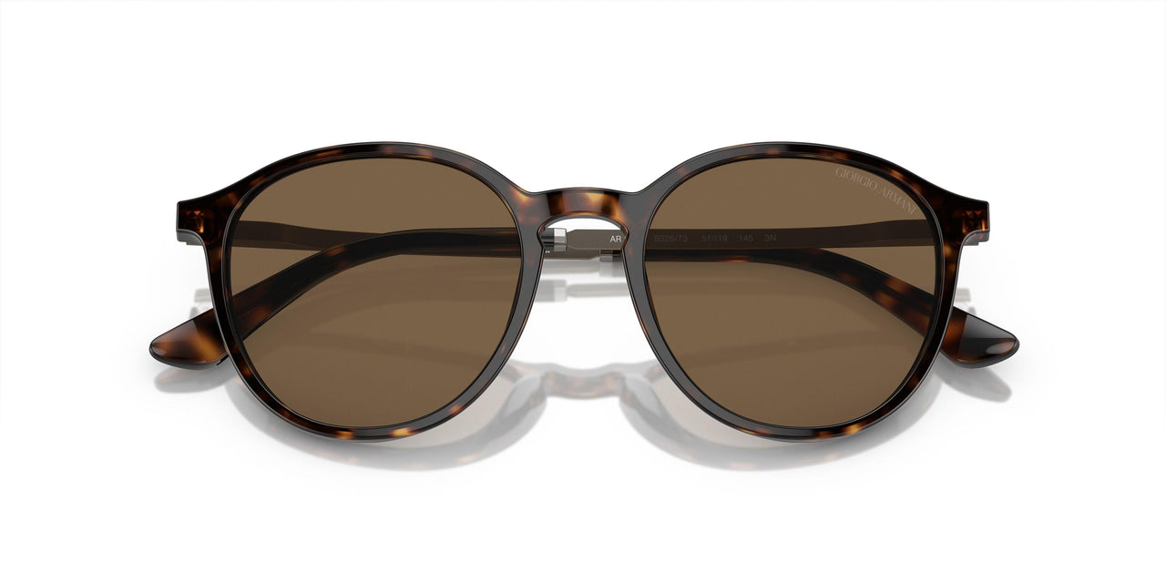 502673 - Tortoise - Dark Brown