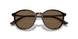 502673 - Tortoise - Dark Brown