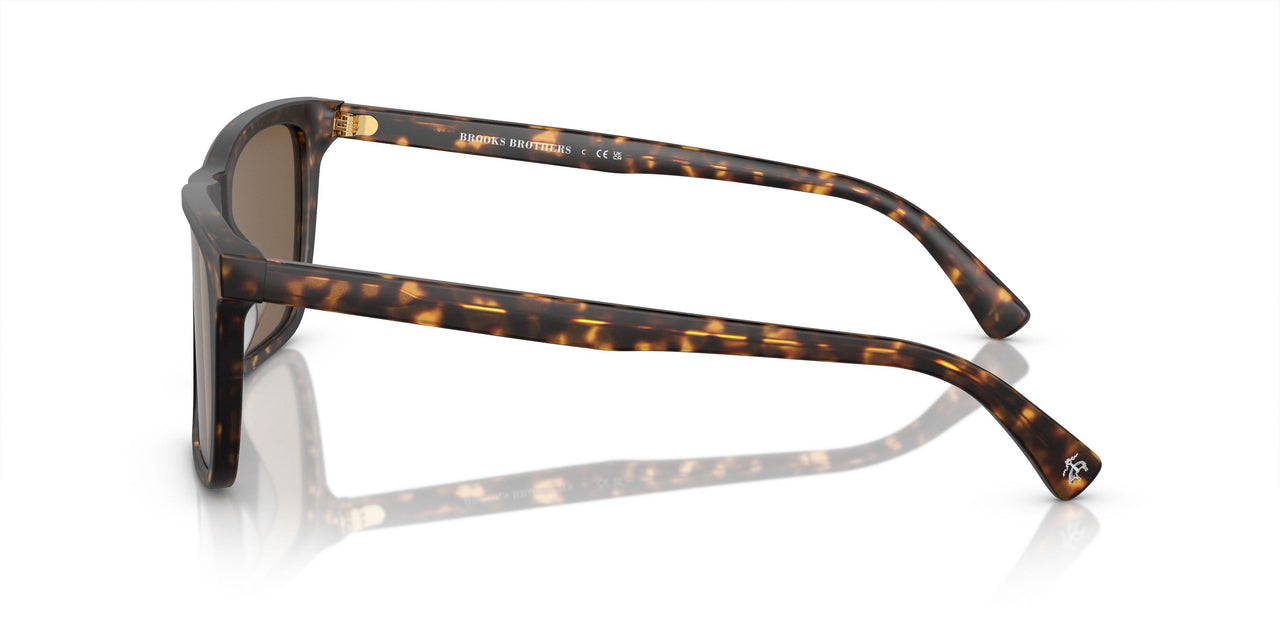616173 - Tortoise - Dark Brown