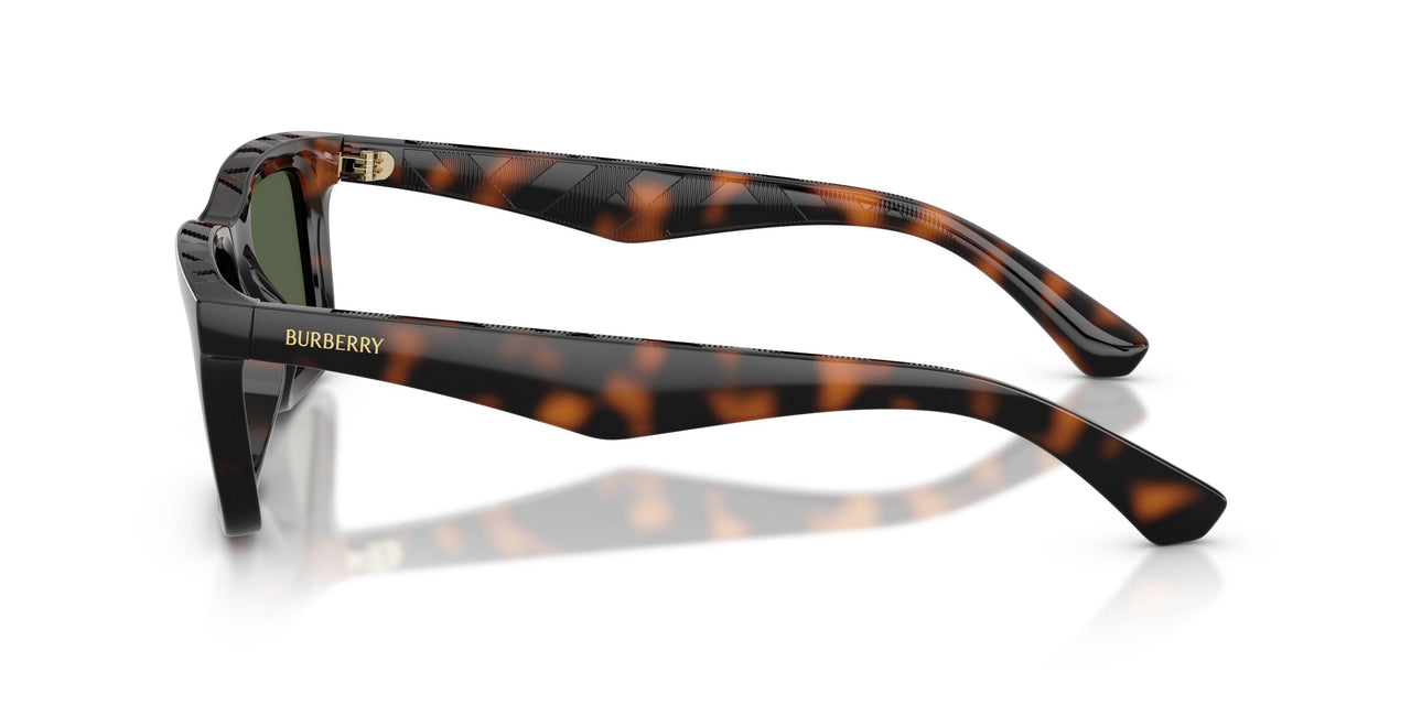 30029A - Brown - Dark Green Polar