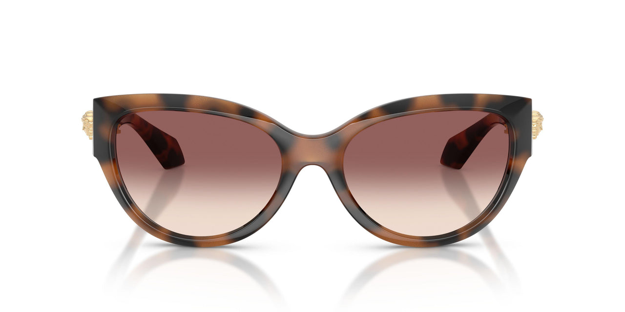 526420 - Brown - Pink Gradient Violet