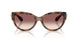 526420 - Brown - Pink Gradient Violet